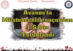 Avanos’ta Müstehcenlik suçundan Bir Şahıs Tutuklandı