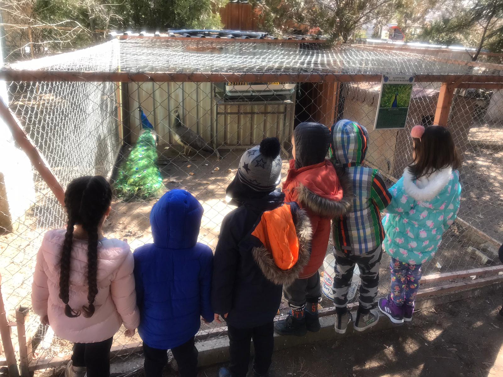 ALTINYILDIZ KREŞ VE ANAOKULU HAYVANAT BAHÇESİ BÜYÜK İLGİ GÖRÜYOR