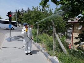 HAŞERE VE SİNEKLERE KARŞI İLAÇLAMA ÇALIŞMASI YAPILIYOR