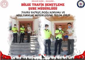 Yavru Baykuş Doğa Koruma ve Milli Parklar Müdürlüğüne Teslim Edildi