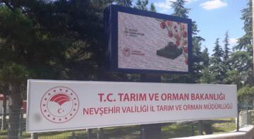 Buzağı destekleme ödemeleri başladı