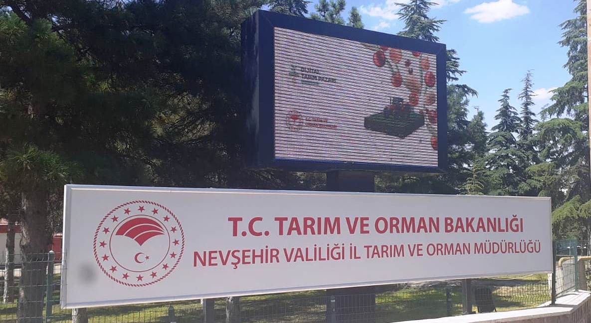 Buzağı destekleme ödemeleri başladı