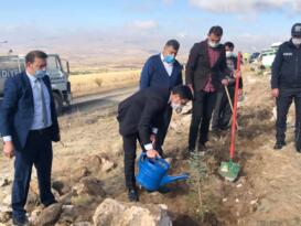 Til tepesine 400 fidan dikildi