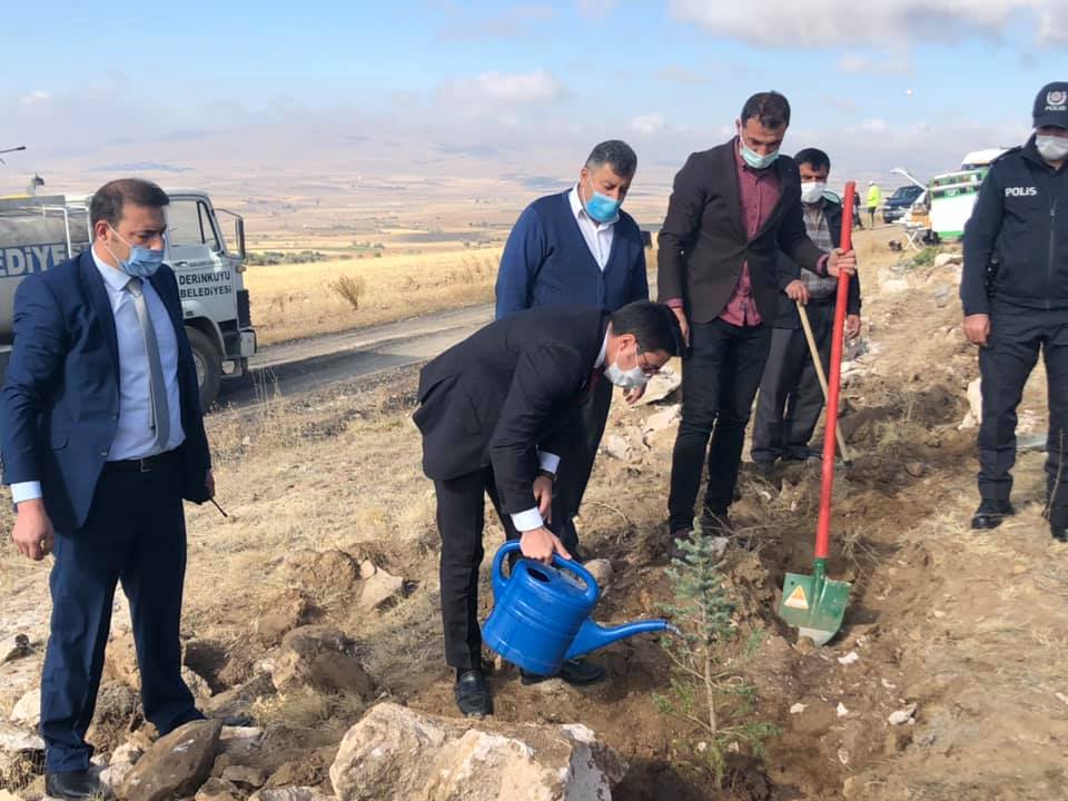 Til tepesine 400 fidan dikildi