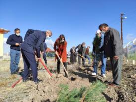 Fidan dikimine Şehit yakınları da katıldı