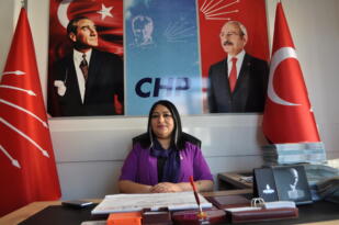 Kadınlar güçlensin, Türkiye büyüsün