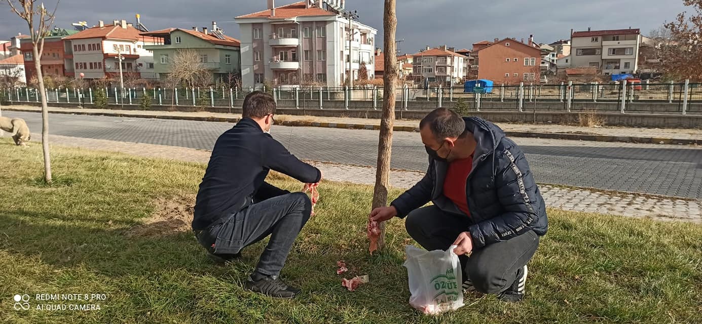 Sokak hayvanlarını unutmadılar