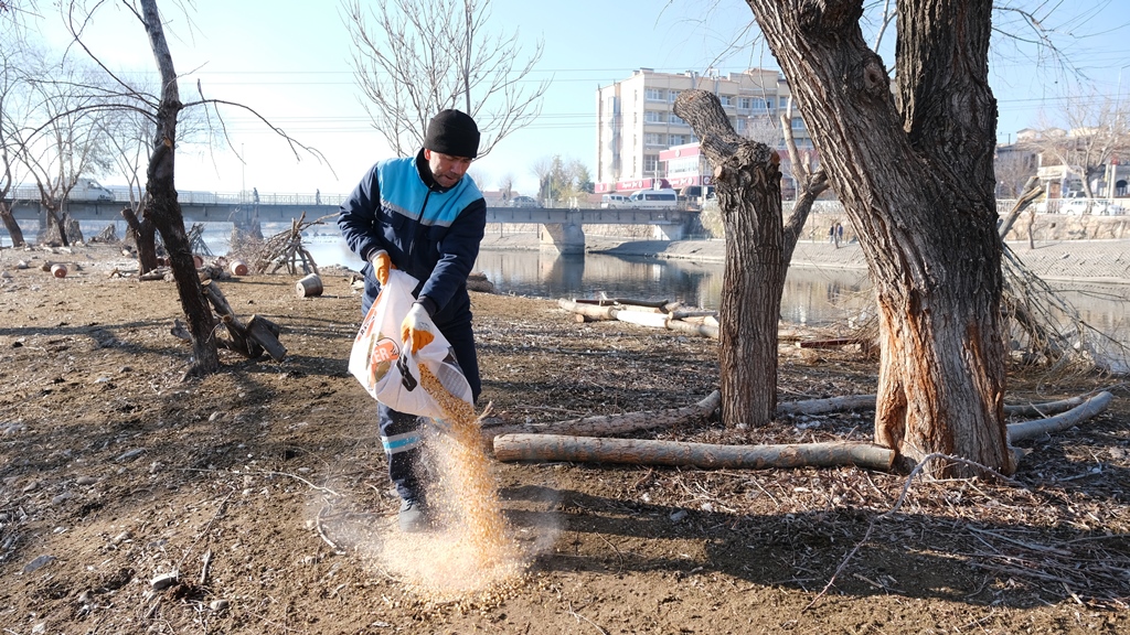 Avanos Belediyesi Kaz Adasını Temizledi
