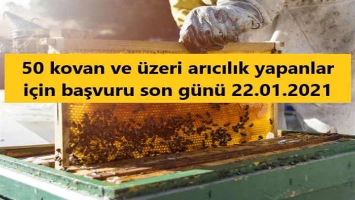 Son başvuru tarihi 22 Ocak