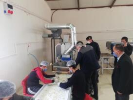 Kaymakam Kaya, sarımsak soyma ve paketleme tesisini ziyaret etti