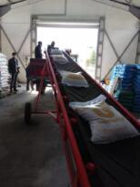 52 ton sertifikalı tohum dağıtıldı