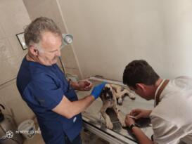 Kamuoyuna saygıyla duyurulur