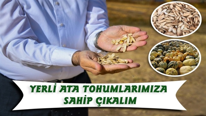 Ata tohumlarımıza sahip çıkalım