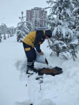 SOKAK HAYVANLARI UNUTULMADI