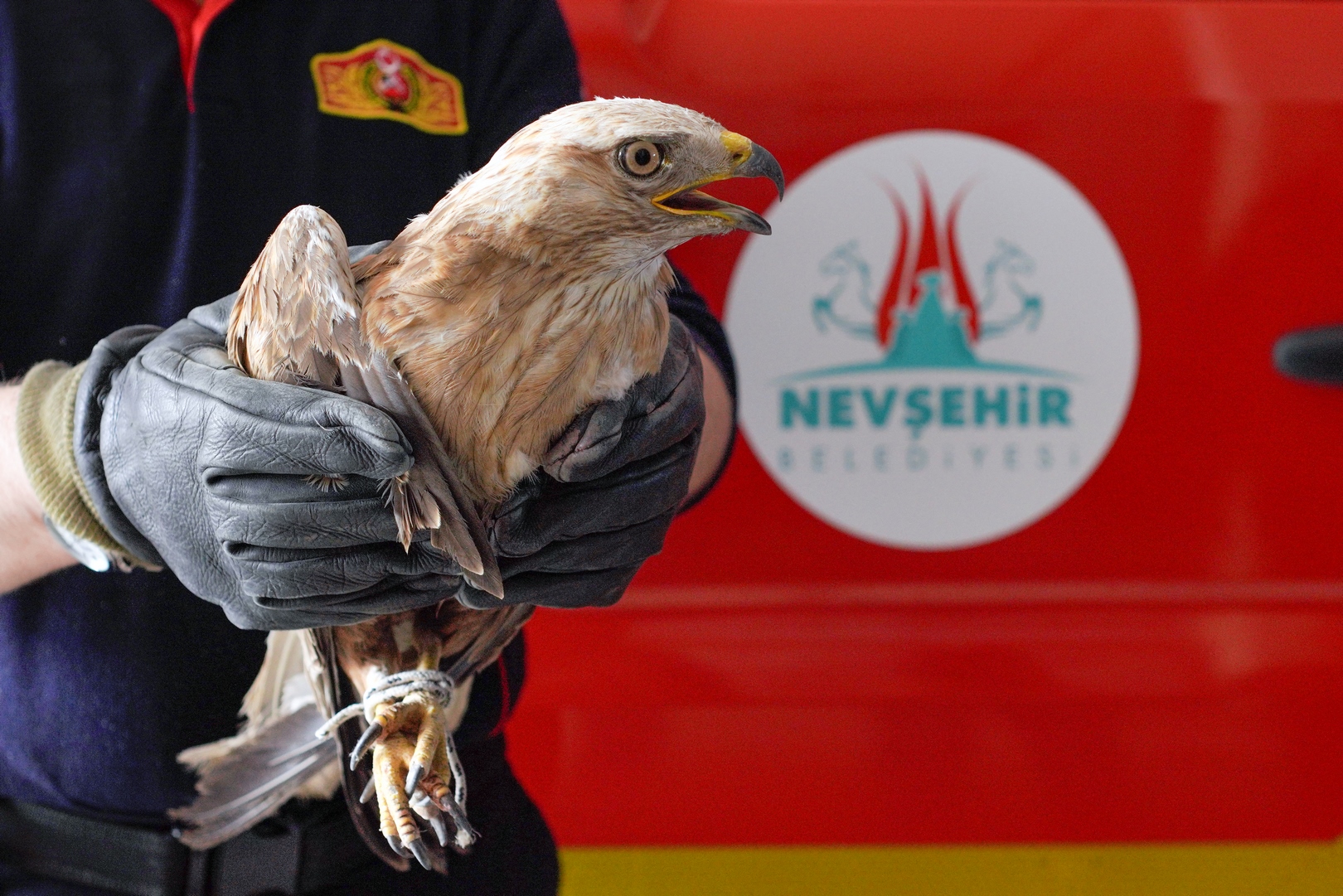 HAVALANDIRMA BOŞLUĞUNA DÜŞEN ŞAHİNİ İTFAİYE EKİPLERİ KURTARDI