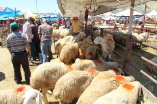 Hayvan Pazarı kapatıldı