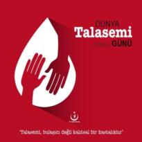 En önemli halk sağlığı sorunlarından biri de Talasemi