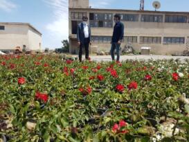 Durmak nedir bilmeyiz