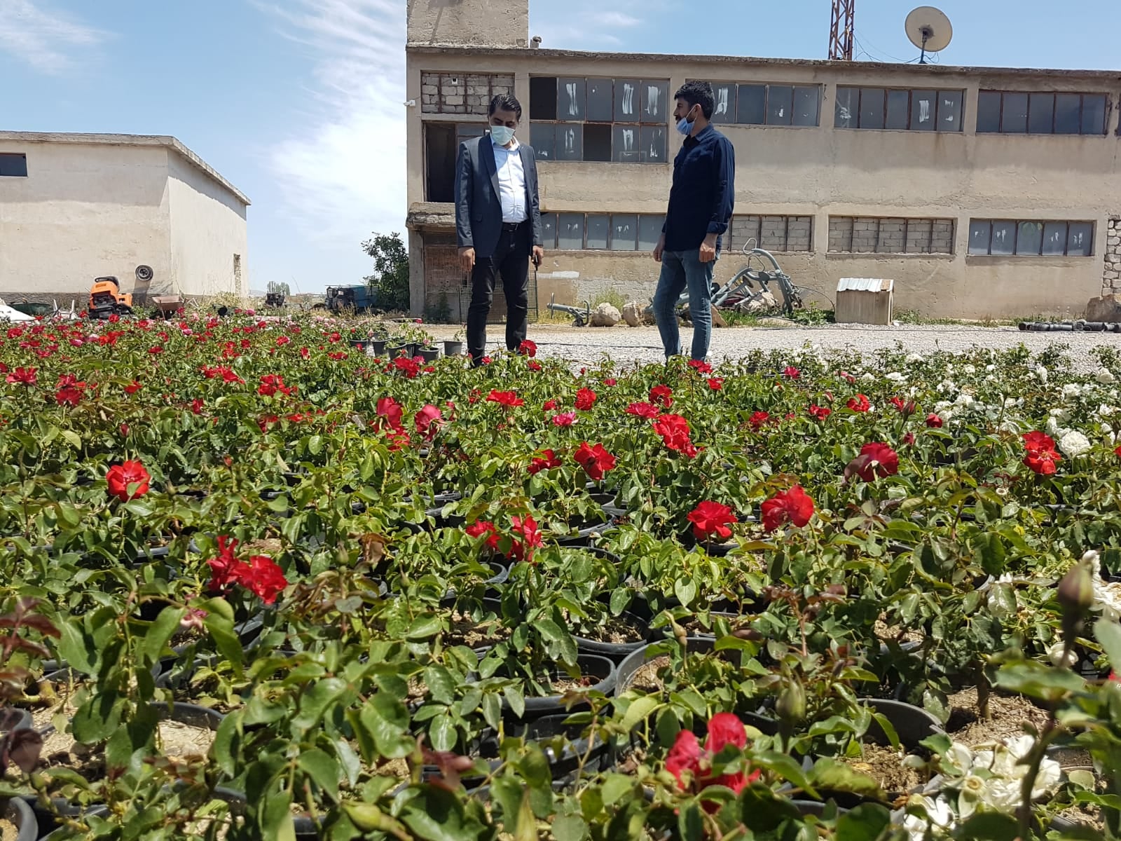 Durmak nedir bilmeyiz