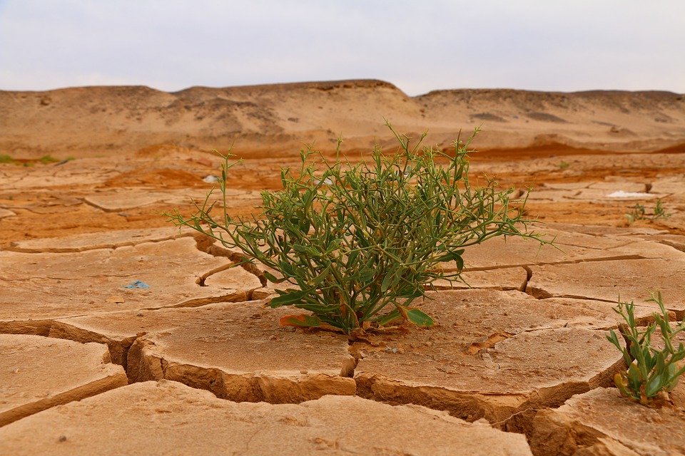 IPCC Uyardı: “İklim Değişikliğini Sınırlandırmak İçin Derhal Harekete Geçilmeli”