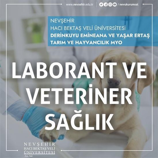 Loborant ve veteriner sağlık programı öğrenci kayıtları başlıyor