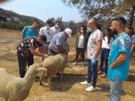 İYİ Gençlik afet bölgesinde