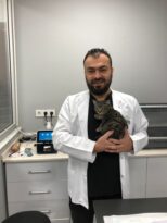 Evcil Hayvanlarda Yüksekten Düşme ile Çok Sık Karşılaşılıyor