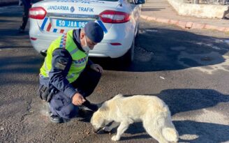 Belediyemize ait hayvan besleme üniteleri