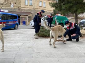 Nevşehir İl Jandarma Komutanlığı