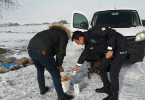 Hep aklımızdalar, soğuk havalarda biraz daha fazla…