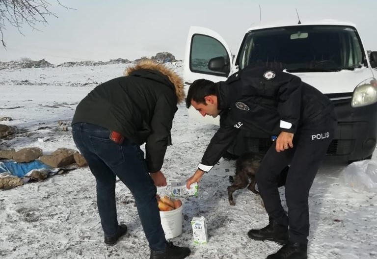 Hep aklımızdalar, soğuk havalarda biraz daha fazla…
