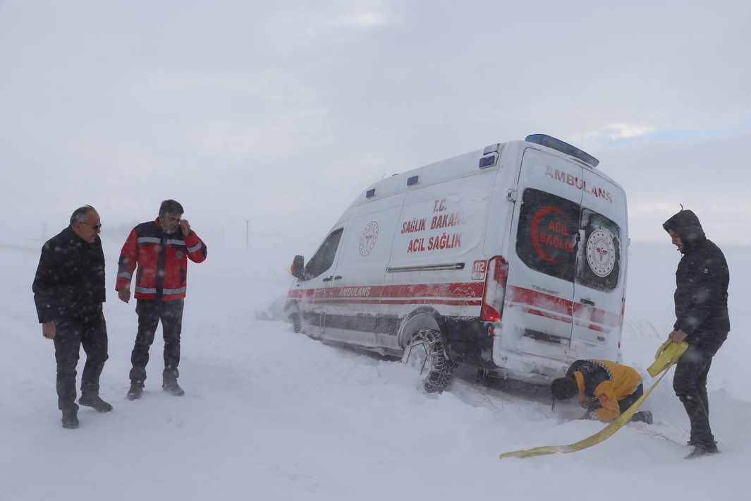 Ağır kış koşullarında sokak hayvanları ve kuşlar unutulmadı