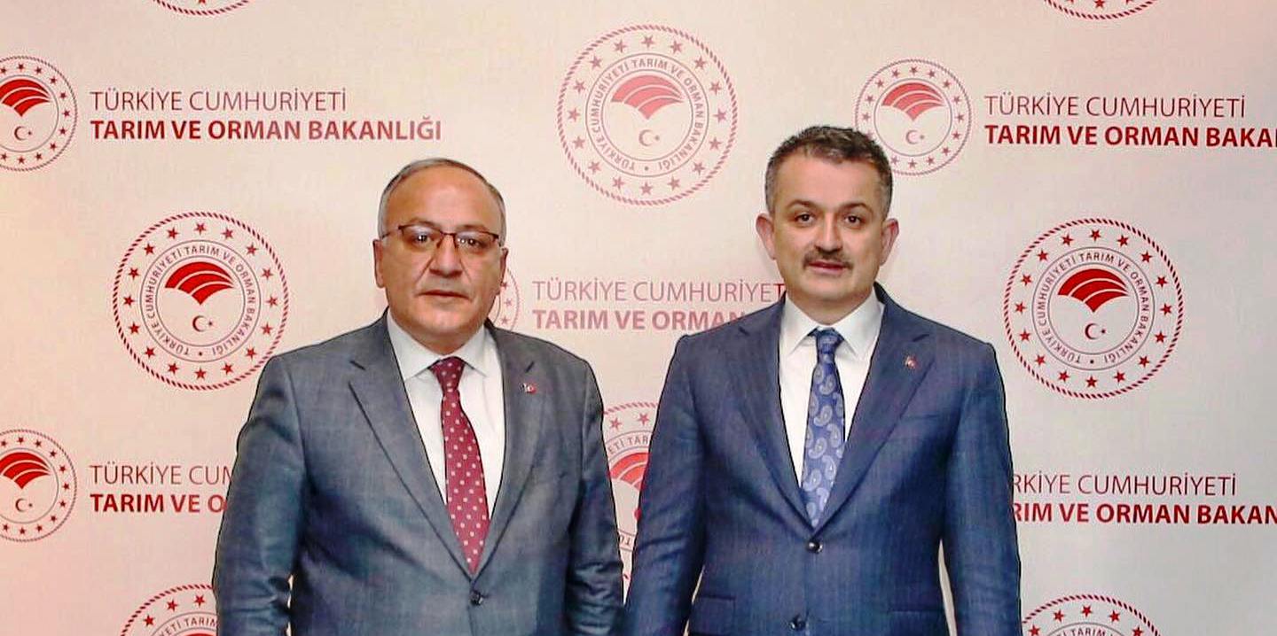 Derinkuyu’ya hayvan barınağı ve taşkın su kanalı projesi