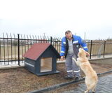 CAN DOSTLARIN SICAK YUVALARI GÖLBAŞI BELEDİYESİ’NDEN