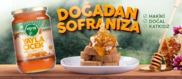 Balın faydaları neler? Bal neye iyi gelir?