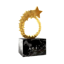 GittiGidiyor Üst Üste İkinci Kez A.C.E Awards’ta Diamond Ödül’ün Sahibi Oldu