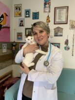 Evcil hayvanınızın kan grubunu biliyor musunuz?