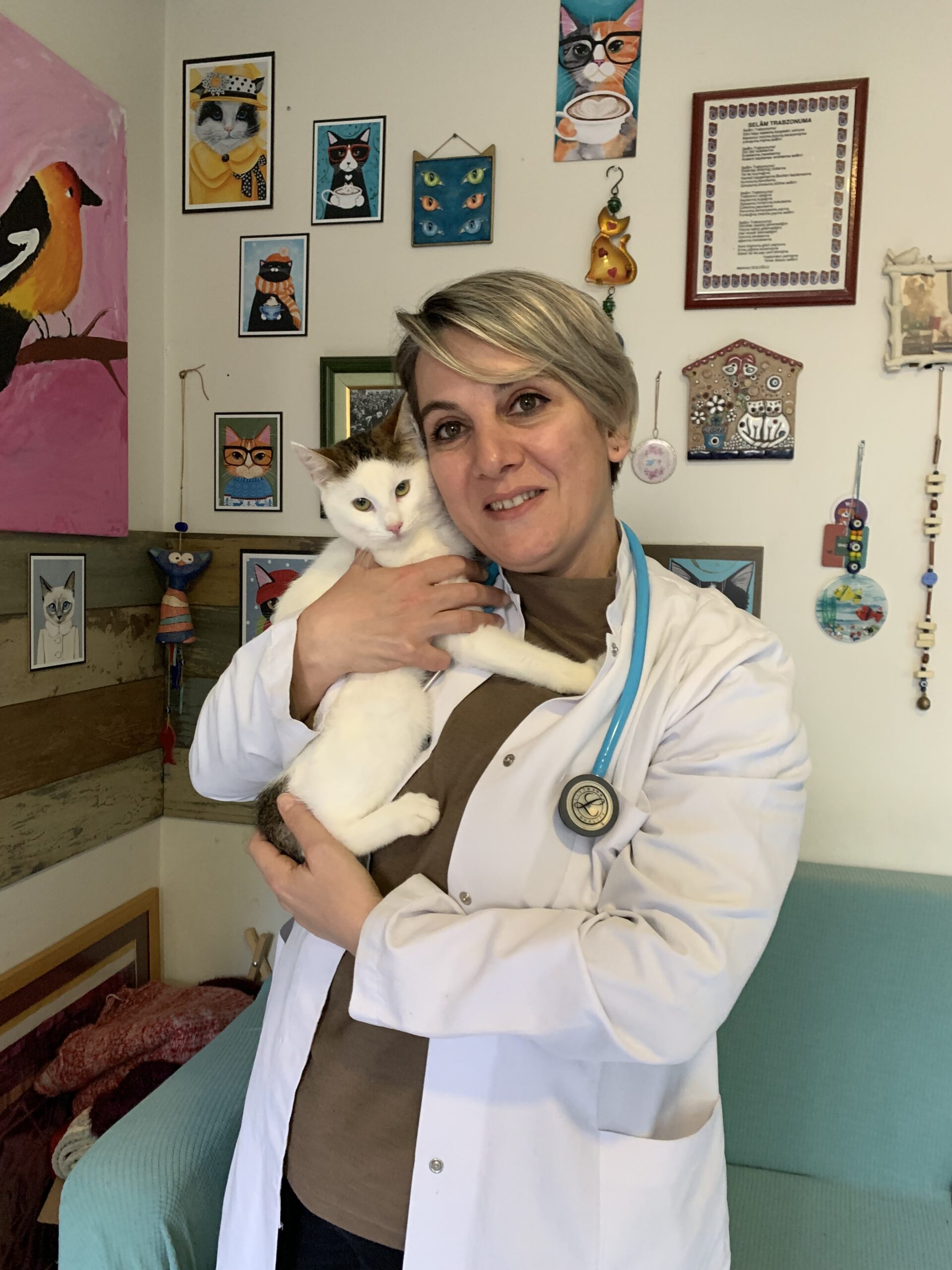 Evcil hayvanınızın kan grubunu biliyor musunuz?