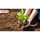 Yemeksepeti, Karbon Ayak İzini Dengeledi