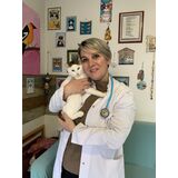 Bahçeniz yoksa sahip olmanız gereken en iyi 7 köpek