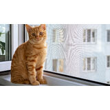 Sineklik Talep Artışındaki Büyük Rol Kedilerin