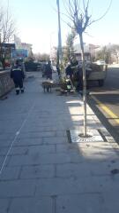 PARK VE BAHÇELER MÜDÜRLÜĞÜ EKİPLERİ ÇALIŞMALARINI YOĞUNLAŞTIRDI