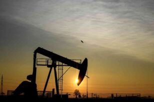 Avusturya, Rusya’dan petrol ithalatını durdurdu
