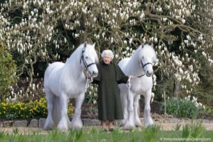 İngiltere Kraliçesi II. Elizabeth’in 96’ncı yaşına özel bebek üretildi