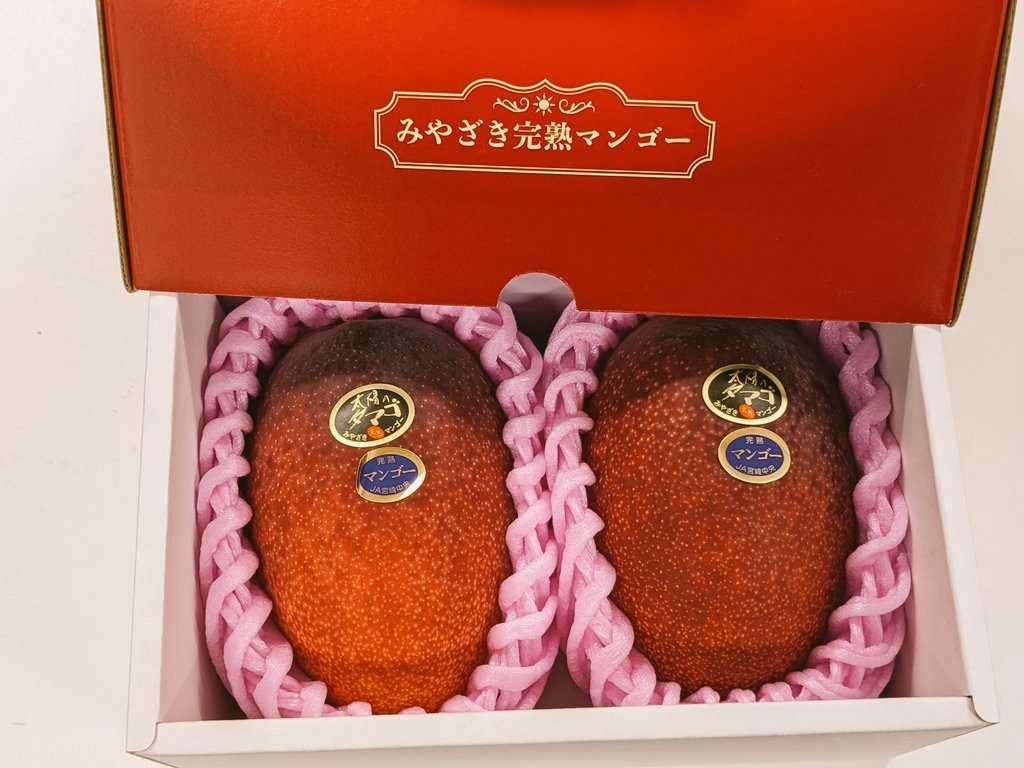 Japonya’da iki mango 58 bin 300 liraya alıcı buldu