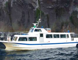 Japonya’da kaybolan turist botundaki 9 kişi bulundu