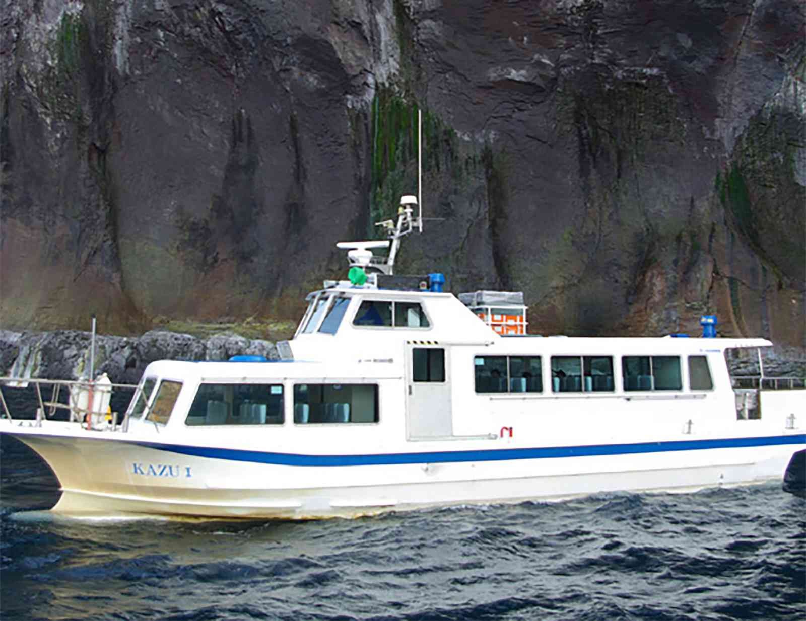 Japonya’da kaybolan turist botundaki 9 kişi bulundu