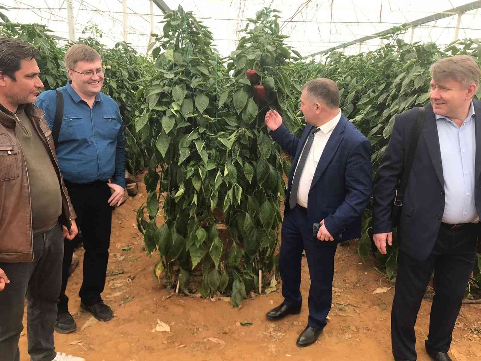 Rusya, Türkiye’den ithal edilen 5 ürünün kısıtlamalarını kaldırdı