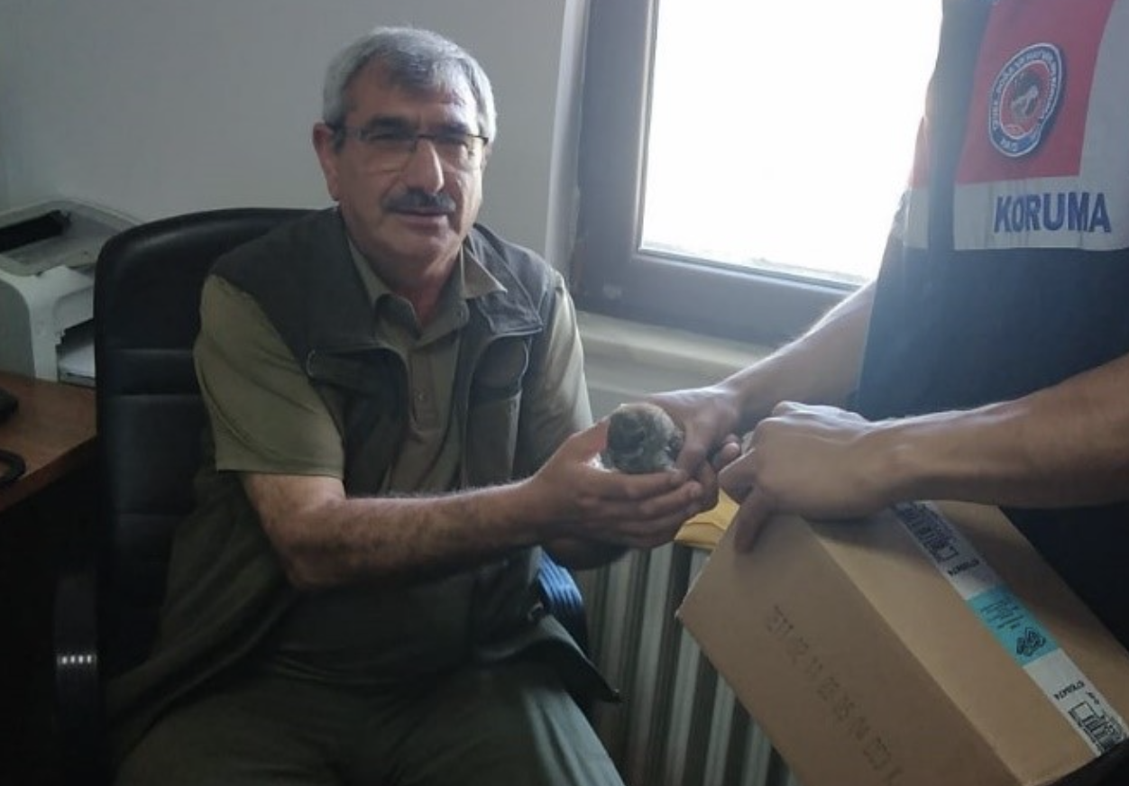 Uçhisar’da yaralı bulunan baykuş tedavi altına alındı