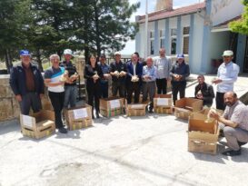 Kozluca, Bağlıca, Çullar, İnallı ve Yuva köylerine 500 adet kaz dağıtıldı
